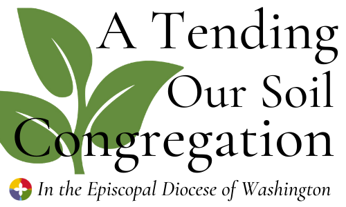 Tending Our Soil: First Cohort Announced