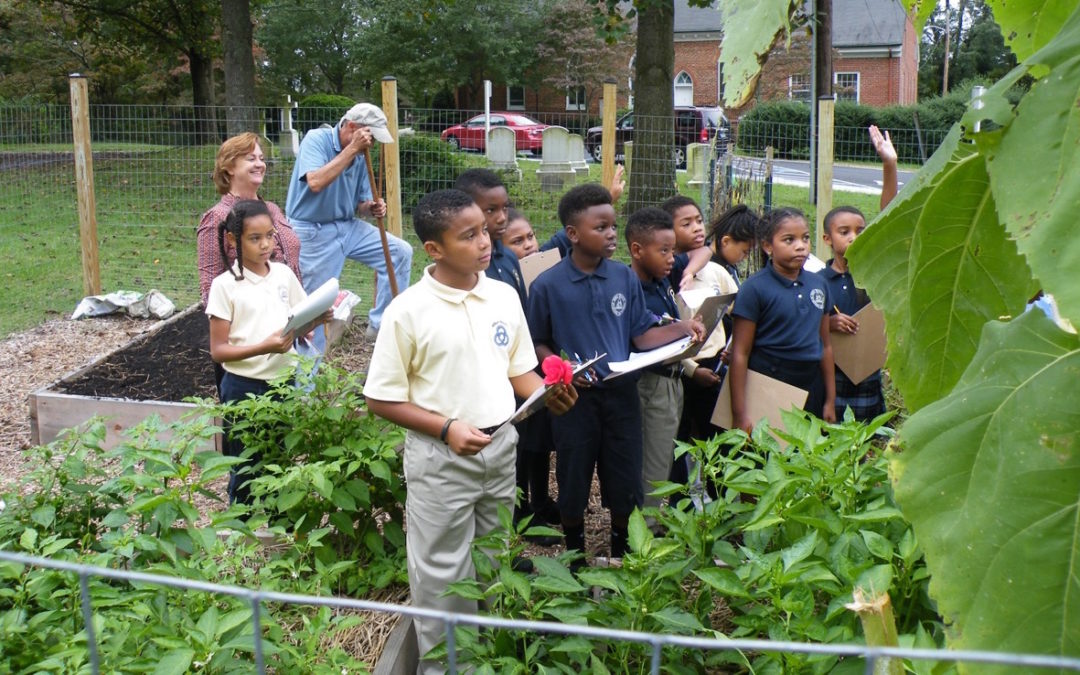 A Garden Grows in Bowie